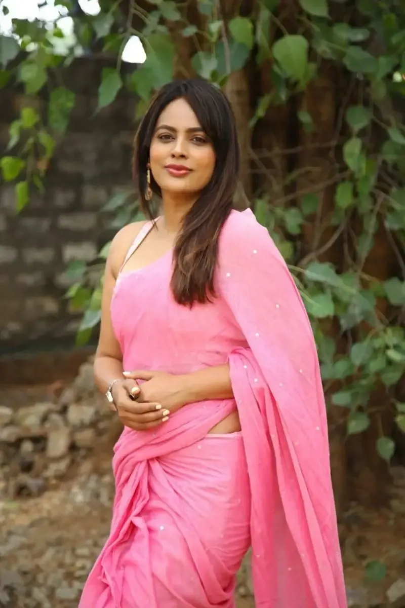 Actress Nandita Swetha in Pink Saree at Movie Press Meet